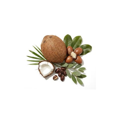 Coco aberto, sementes de jojoba e nozes de karité com folhas